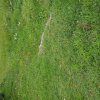 Un fauchage raisonné des bassins d'orage favorise le développement de la biodiversité. BRUNO GODET
